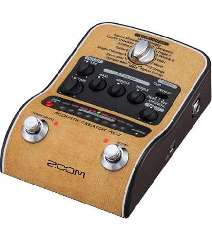 Amazon | L.R.Baggs Session Acoustic D.I. アコースティックギター用